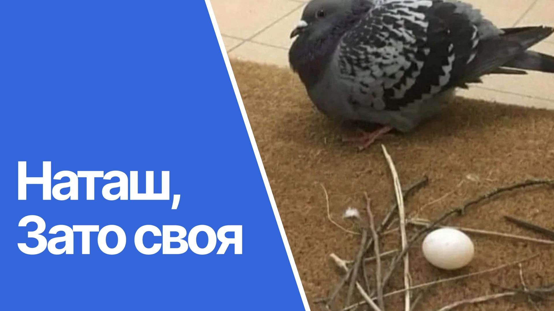 Какие квартиры опасно покупать в 2026 году: риски дешёвой вторички и проверка чистоты сделки