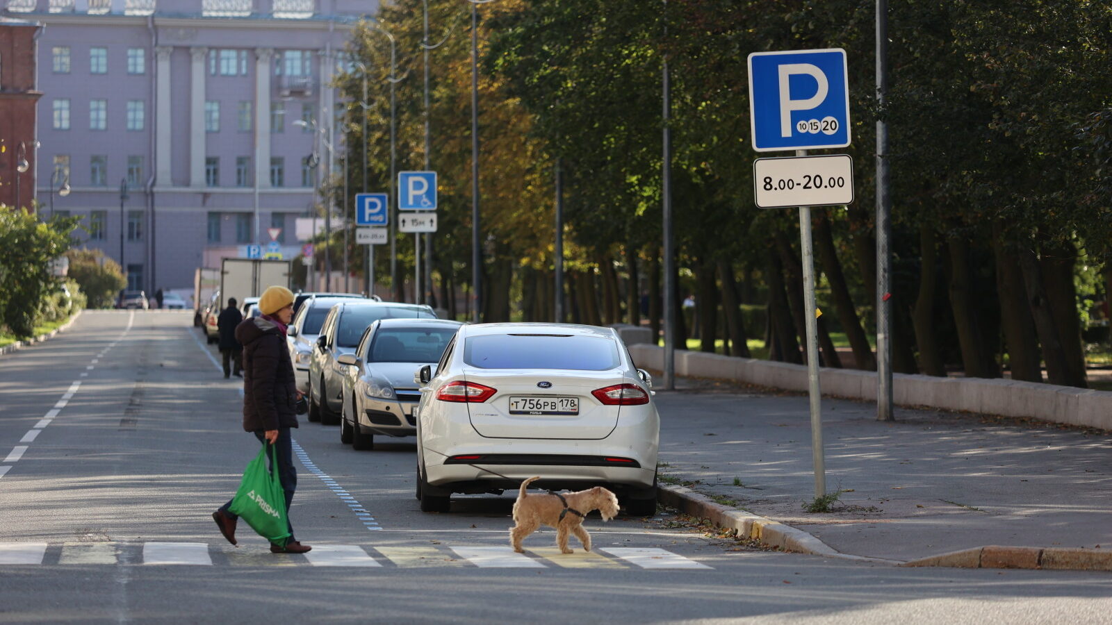 В центре Петербурга могут ввести платный въезд для авто