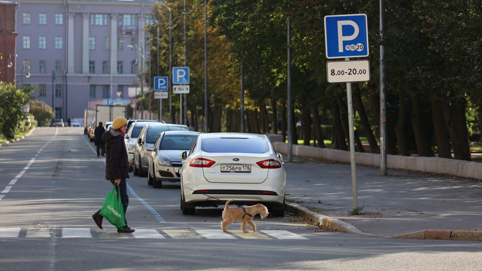Платные парковки Санкт-Петербурга: что надо знать