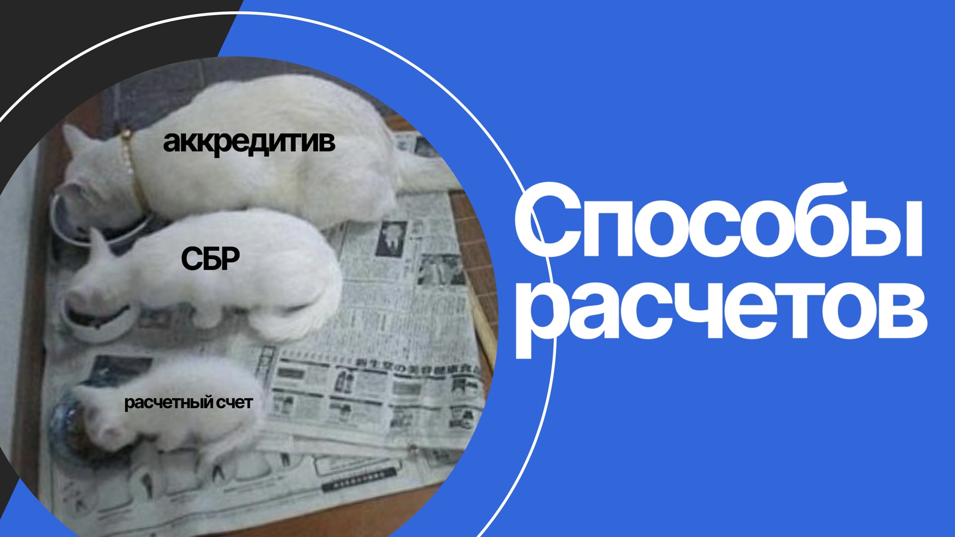Способы расчетов при покупке квартиры