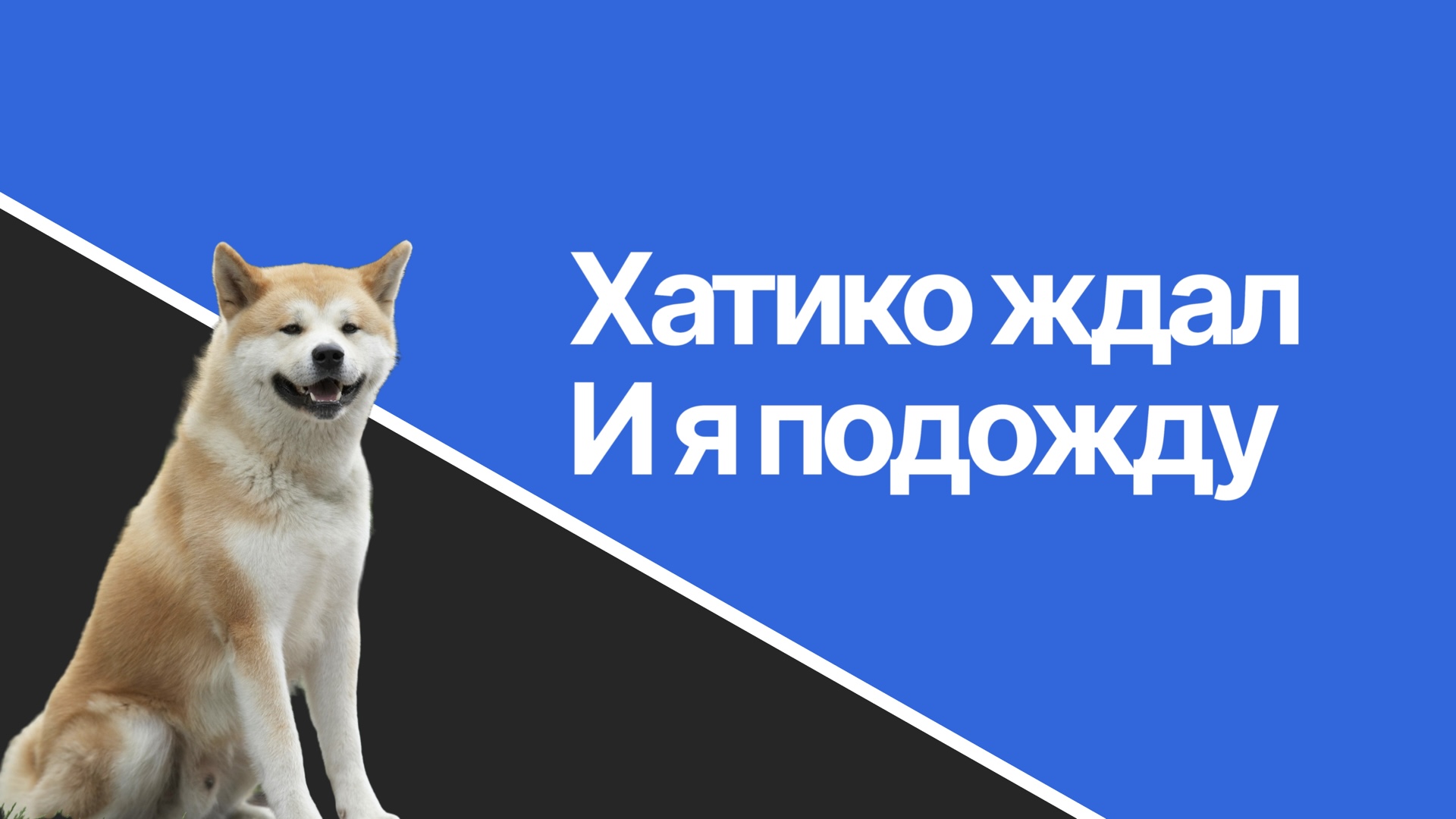 Процесс покупки квартиры в новостройке: пошаговая инструкция