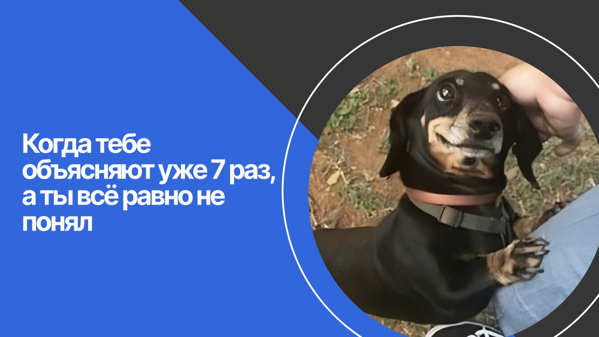 214-ФЗ и ДДУ: что это простыми словами и как купить квартиру в долевом строительстве в 2026 году