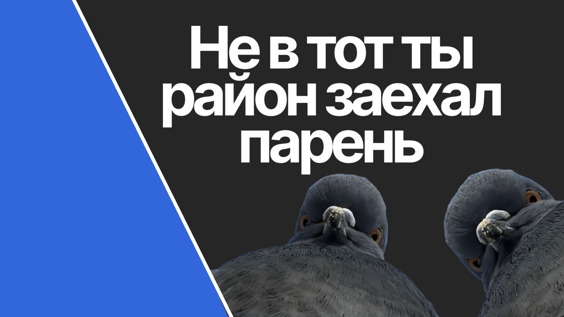 Какой район Петербурга ваш? Рейтинг для разных стилей жизни