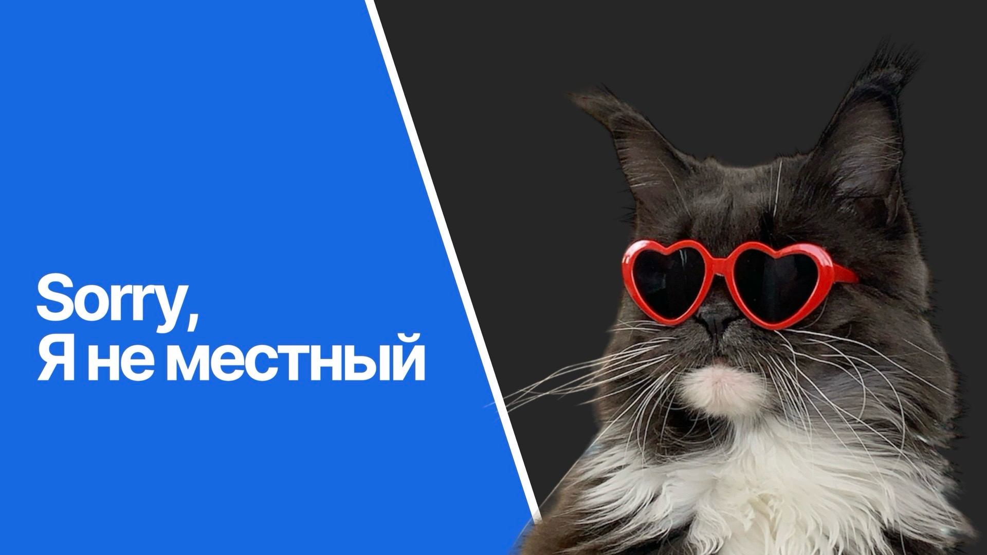 Льготы, которые дает регистрация